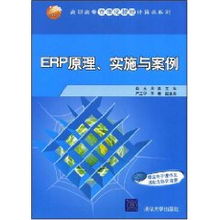 ERP系統原理、實施與網絡技術應用——以肖玉案例為視角